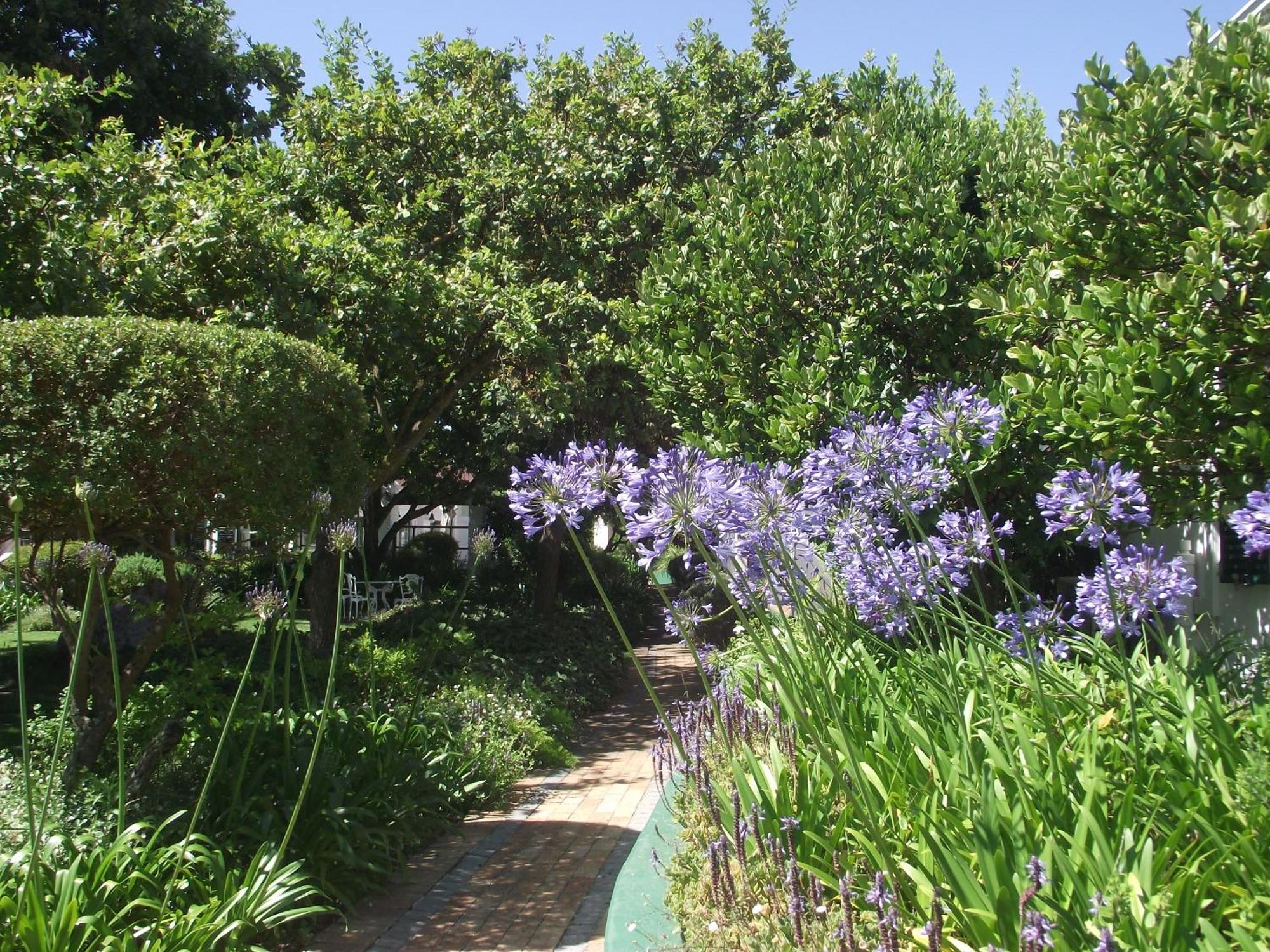 Eikendal Lodge Stellenbosch Exterior photo